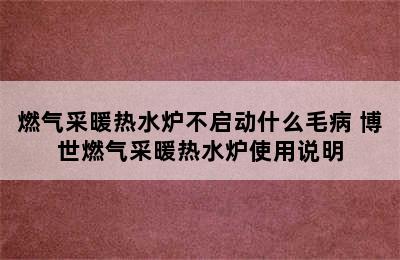 燃气采暖热水炉不启动什么毛病 博世燃气采暖热水炉使用说明